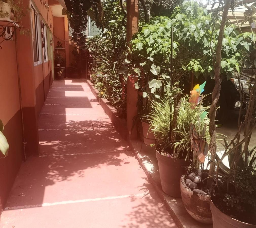 Apartment Depa 1 Equipado Coyoacan